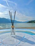 Ode annecy